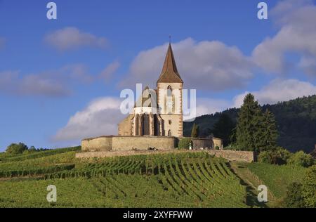 Die Festung Hunawihr im Elsass, Frankreich, die Festung Hunawihr im Elsass, Frankreich, Europa Stockfoto