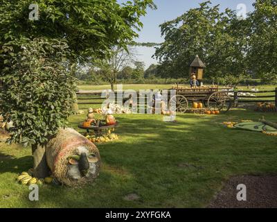 Ländlicher Garten mit Heuwagen, Kürbissen und anderen Erntedekorationen im Herbst, borken, münsterland, Deutschland, Europa Stockfoto