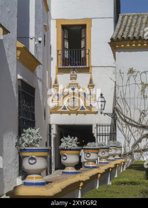 Jardines del Alcazar, Gärten im Alcazar, Königspalast von Sevilla, Sevilla, Spanien, Europa Stockfoto