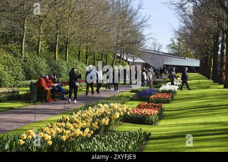 Lisse, Niederlande. April 2023. Besucher des Keukenhof, eines großartigen Frühlingsgartens in den Niederlanden Stockfoto