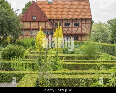 Gepflegter Garten mit hohen gelben Blumen, Fachwerkhaus und aufgeräumten Hecken, ystad, schweden, ostsee, skandinavien Stockfoto