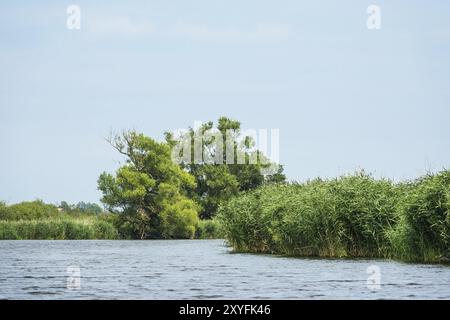 Landschaft auf der Peene bei Loitz Stockfoto