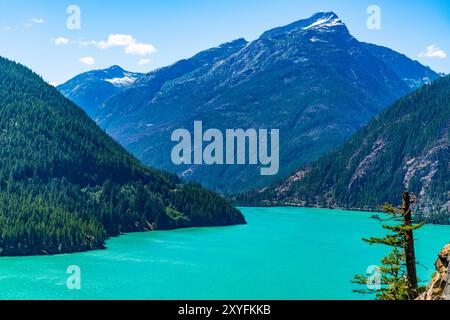 Naturlandschaft. Diablo Lake im North Cascades National Park. Malerische Natur am Diablo See. Diablo See mit Berglandschaft. Landschaft von Diablo Stockfoto