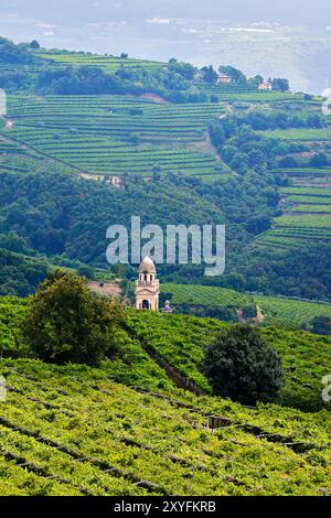 Glockenturm der Kirche Marano di Valpolicella zwischen den Weinbergen. Die umliegende Landschaft umfasst Bäume, Berge, Gras und einen Kirchturm Stockfoto