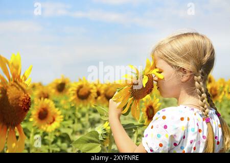 Kind spielt auf dem Sonnenblumenfeld an sonnigen Sommertagen. Das kleine Mädchen spielt mit Sonnenblumen Stockfoto