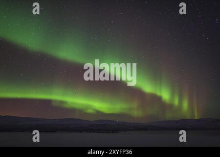 Nordlichter (Aurora borealis) über dem gefrorenen See Tornetraesk, Norrbotten, Lappland, Schweden, Januar 2014, Europa Stockfoto