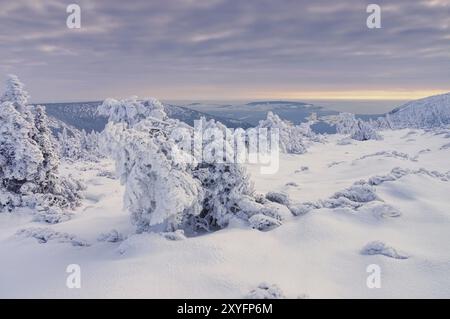 Riesengebirge im Winter, Riesengebirge im schneebedeckten Winter Stockfoto