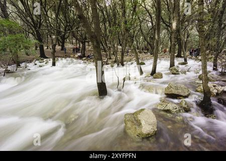 Fonts Ufanes, monumento Natural protegido, finca publica Gabelli Petit, Campanet, Mallorca, islas baleares, Spanien, Europa Stockfoto