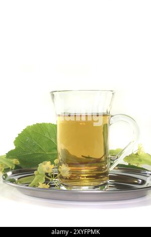 Eine Tasse Limettenblütentee mit frischen Blumen auf weißem Hintergrund Stockfoto