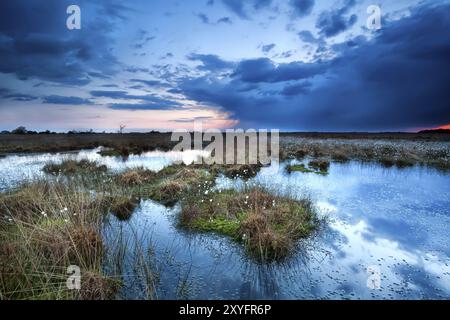 Dunkle Sturmwolken über dem See bei Sonnenuntergang, Fochteloerveen Stockfoto