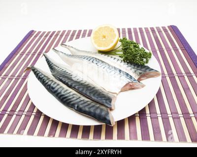 Rohe Makrelenfilets mit einer halben Zitrone und grüner Petersilie auf weißem Teller über violetter Holzplatte Stockfoto