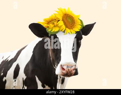 Entzückende Kuh mit hellen Sonnenblumen auf dem Kopf vor beigefarbenem Hintergrund Stockfoto