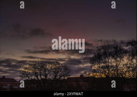 Wunderschöner Sonnenuntergang mit roten Wolken hoch am Himmel hinter Bäumen Stockfoto