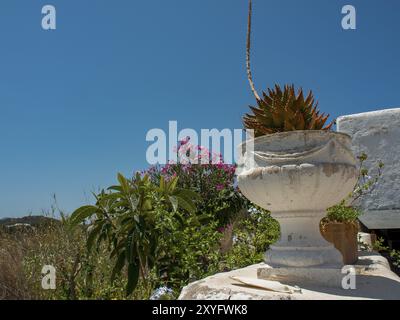 Ein großer Terrakotta-Topf mit Sukkulenten vor einem hellblauen Himmel, umgeben von blühenden Pflanzen, ibiza, mittelmeer, spanien Stockfoto