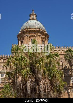 Gotische Kathedrale mit großer Kuppel und Palmen im Vordergrund unter klarem Sommerhimmel, palermo, sizilien, mittelmeer, italien Stockfoto