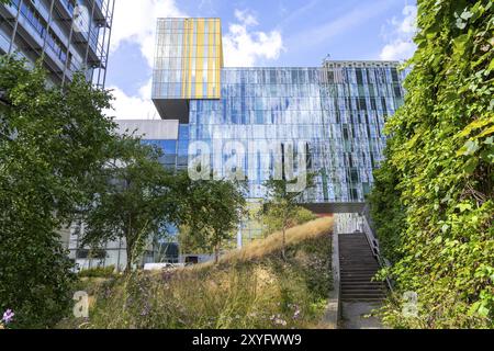 Grünflächen um Gebäude, hier bei Hogeschool Inholland Rotterdam, Pflanzbeete an Durchgängen, grüne Wände und Dächer, Rotterdam, Niederlande Stockfoto