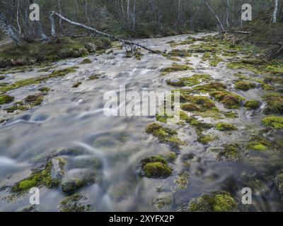 Bergbach, inmitten von Wäldern mit Hairy Birch (Betula pubescens), erfasst um Mitternacht, Mai, Finnisch-Lappland Stockfoto