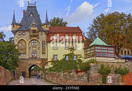 BURGTOR Stockfoto