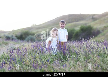 Portrait der Kinder spielen auf den Sommer medow Stockfoto