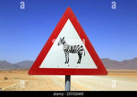 Schild Zebras überqueren Sie einen Schotterweg im Namibrand Nature Reserve in Namibia Stockfoto