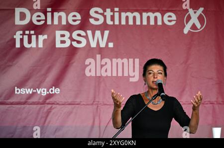 Erfurt, Deutschland. August 2024. Sahra Wagenknecht, Vorsitzende der Allianz Sahra Wagenknecht (BSW), steht während der Wahlkampagne auf dem Erfurter Domplatz auf der Bühne. Am 1. September wird in Thüringen ein neuer landtag gewählt. Quelle: Martin Schutt/dpa/Alamy Live News Stockfoto