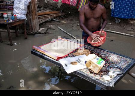 Feni, Chittagong, Bangladesch. August 2024. 29. August 2024, Feni, Chittagong, Bangladesch: Eine von Überschwemmungen betroffene Person versucht, Reis in der kleinen Sonne in der Gegend von Gopal in Chagalnaiya upazila im Bezirk Feni der Division Chittagong von Bangladesch zu trocknen. (Kreditbild: © Muhammad Amdad Hossain/ZUMA Press Wire) NUR REDAKTIONELLE VERWENDUNG! Nicht für kommerzielle ZWECKE! Stockfoto