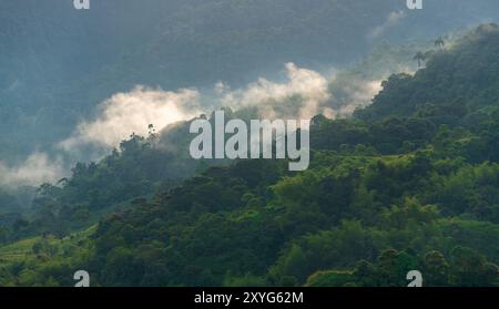 MINDO Cloud Forest, Region Quito, Ecuador. Stockfoto