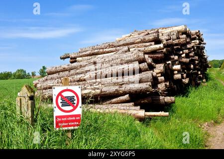 Große Baumstämme stapeln sich am Eingang zu einem Stück Wald, die getrocknet und für Brennholz gehackt werden können, das Teil des Öko-Energie-Geschäfts eines Bauernhofs ist. Stockfoto