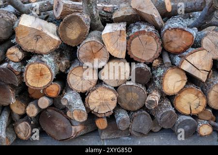 Schneiden Sie Hölzer voller Rahmenmuster Stockfoto