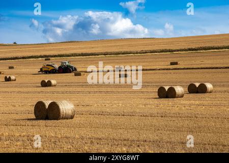 Ein Traktor, der auf einem riesigen goldenen Feld mit runden Heuballen arbeitet, die unter teilweise bewölktem Himmel über die Landschaft verstreut sind. Stockfoto