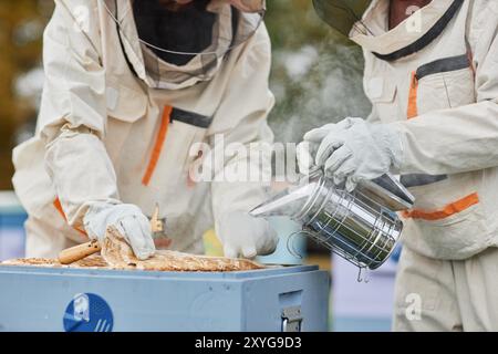 Abgeschnittene Aufnahme von zwei nicht erkennbaren Imkern in Schutzanzügen, die Bienenbeutenberuhigende Insekten mit Bienenraucher auf der Bienenfarm öffnen, Kopierraum Stockfoto