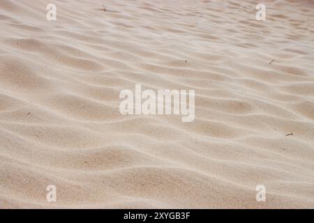 Windgeformte Sandmuster erzeugen sanfte Dünenwellen. Stockfoto