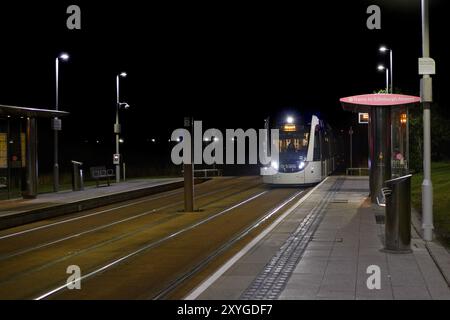 Straßenbahn Ankunft An Der Edinburgh Tram Haltestelle, Ingliston Park & Ride Bei Nacht Stockfoto