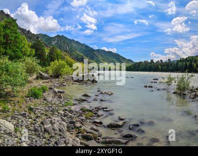 Schneller Gebirgsfluss Katun an hellen sonnigen Sommertagen, Altai Berge. Panoramablick auf steinige Flussufer mit Felsbrocken und grünen Wald. Schönheit von na Stockfoto