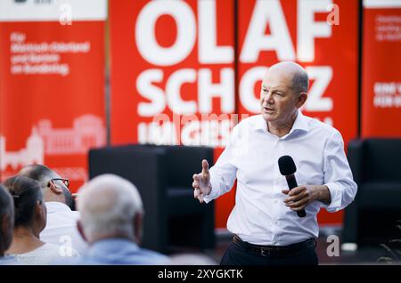 Bundeskanzler Olaf Scholz, SPD, aufgenommen im Rahmen eines Buergerdialogs in Seelow. 29.08.2024. Seelow Deutschland *** Bundeskanzler Olaf Scholz, SPD , aufgenommen während eines Bürgerdialogs in Seelow 29 08 2024 Seelow Deutschland Urheberrecht: XFelixxZahn/photothek.dex Stockfoto