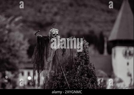 Menschliches Skelett im Freien. Grim Reaper halloween-Dekoration in Schwarz und weiß. Stockfoto