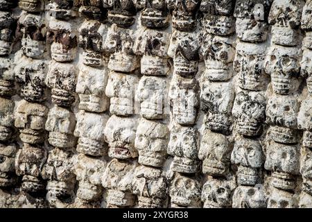 MEXIKO-STADT, Mexiko – der Altar Tzompantli (Gebäude B) am Ort des Bürgermeisters von Templo mit Reihen von aufwändig geschnitzten Steinschädeln. Diese Struktur, verbunden mit aztekischen Opferpraktiken, bietet einen eindrucksvollen Einblick in die religiösen und kosmologischen Überzeugungen der präkolumbianischen mesoamerikanischen Kultur. Stockfoto