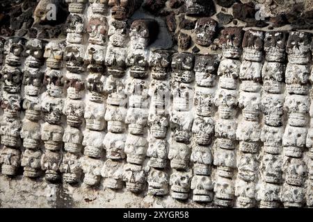 MEXIKO-STADT, Mexiko – der Altar Tzompantli (Gebäude B) am Ort des Bürgermeisters von Templo mit Reihen von aufwändig geschnitzten Steinschädeln. Diese Struktur, verbunden mit aztekischen Opferpraktiken, bietet einen eindrucksvollen Einblick in die religiösen und kosmologischen Überzeugungen der präkolumbianischen mesoamerikanischen Kultur. Stockfoto