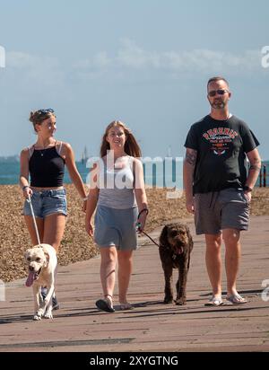 Queen's Road, West Cowes, Isle of Wight. August 2024. Ein warmer und sonniger Nachmittag auf der Isle of Wight. Menschen genießen das Wetter entlang der Küste von West Cowes, Isle of Wight, Hampshire. Quelle: james jagger/Alamy Live News Stockfoto