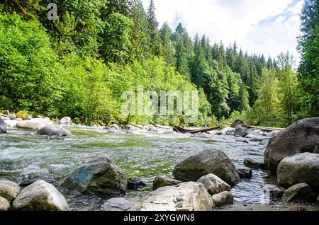 Kettle River in der Nähe von Cascade Falls nordöstlich von Mission, BC, Kanada Stockfoto