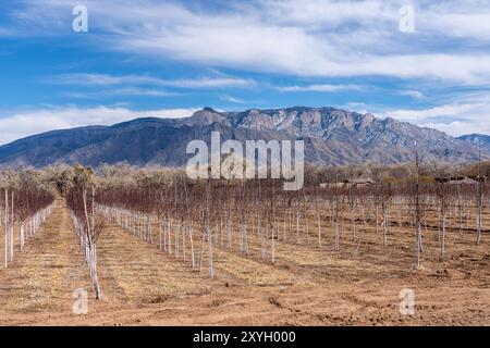 Landschaft vom Byway durch Corrales, New Mexico Stockfoto