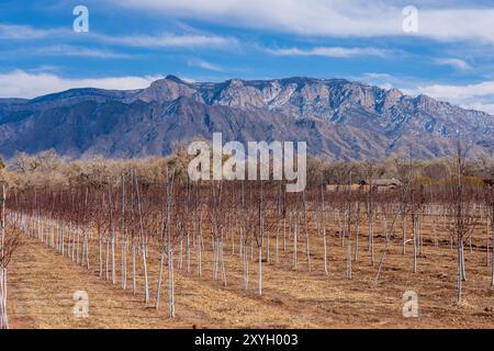 Landschaft vom Byway durch Corrales, New Mexico Stockfoto