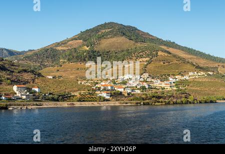 Das Dorf Covelinhas, zwischen Régua und Pinhão in Portugal, und Weinberge an den Hängen des Douro an einem sonnigen Tag, vom Fluss aus gesehen. Stockfoto