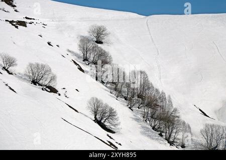 Nahaufnahme über blattlose Bäume, über einem verschneiten Berg und wunderschönen schneebedeckten Berggipfeln. Winter Wildnis, an einem sonnigen Tag Stockfoto