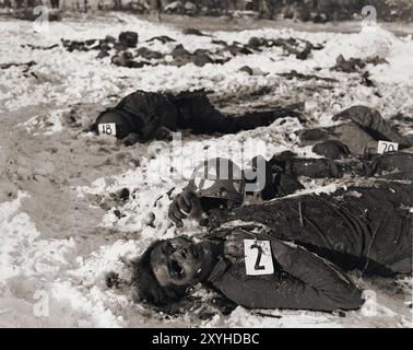 Im Schnee liegen Leichen amerikanischer Soldaten, die von der SS bei Malmedy getötet wurden und nach Nummer identifiziert wurden. Das Massaker in Malmedy war die summay Hinrichtung von 84 gefangenen US-Soldaten durch die Waffen-SS. Das Massaker fand am 17. Dezember 1944 während der Ardennenoffensive statt, auch bekannt als die Ardennenschlacht. Stockfoto