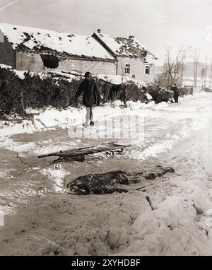 Die Leiche eines amerikanischen Soldaten, der von der SS getötet wurde, während der Malmedy-Gräueltaten. Dieser unglückliche wurde später von einem Panzer gekreuzt. Das Massaker in Malmedy war die summay Hinrichtung von 84 gefangenen US-Soldaten durch die Waffen-SS. Das Massaker fand am 17. Dezember 1944 während der Ardennenoffensive statt, auch bekannt als die Ardennenschlacht. Stockfoto