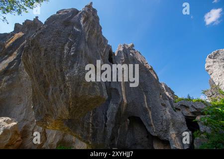Stone Forest oder Shilin ist eine Kalksteinformation im Shilin County, Kunming City, Yunnan, China. Shilin ist ein Teil der südchinesischen Karst Re Stockfoto