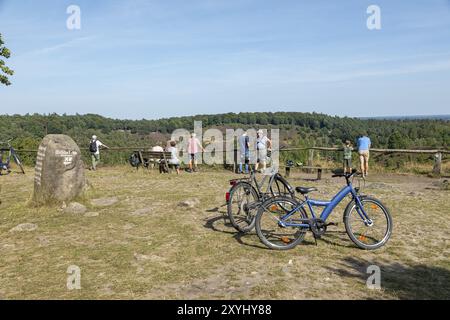 Wacholder (Juniperus communis), Menschen, Fahrräder, Aussichtspunkt, Totengrund bei Wilsede, Bispingen, Lüneburger Heide, Niedersachsen, Deutschland, Europa Stockfoto