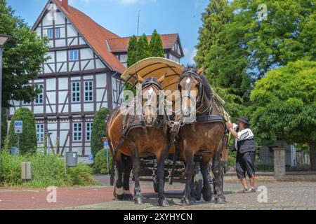 Pferdekutsche vor Prinzenhof Rinteln Deutschland Stockfoto