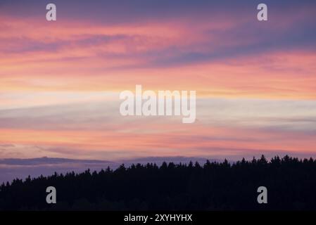 Sonnenuntergang hinter einem Wald leuchtet in violetten Farben Stockfoto